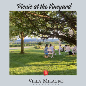 Come picnic at the vineyrd