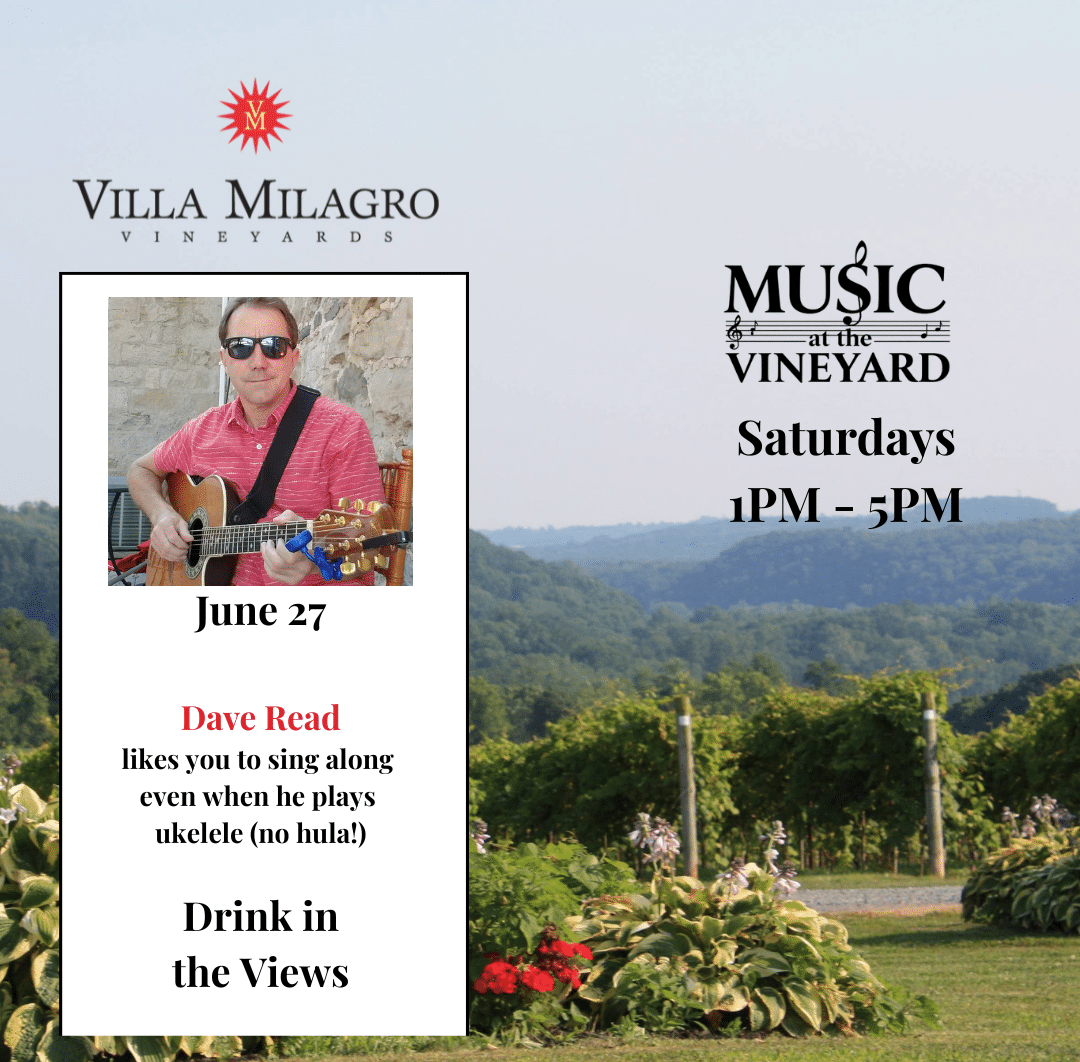 Music at the Vineyard – Dave Read